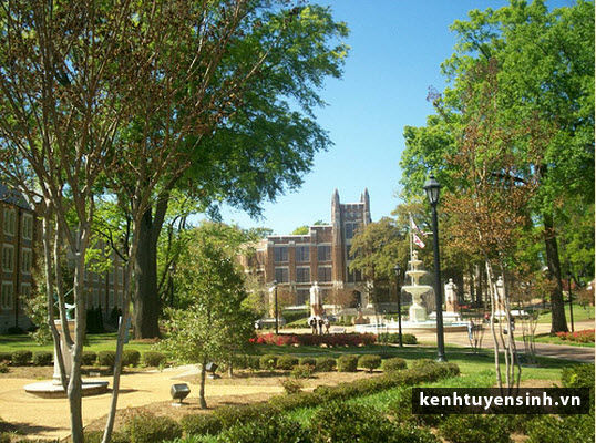 Trường University of North Alabama: Dịch vụ cho Sinh viên